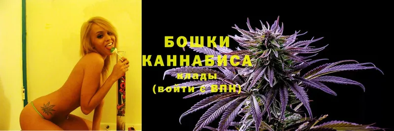 Конопля Bruce Banner  как найти наркотики  Болгар 